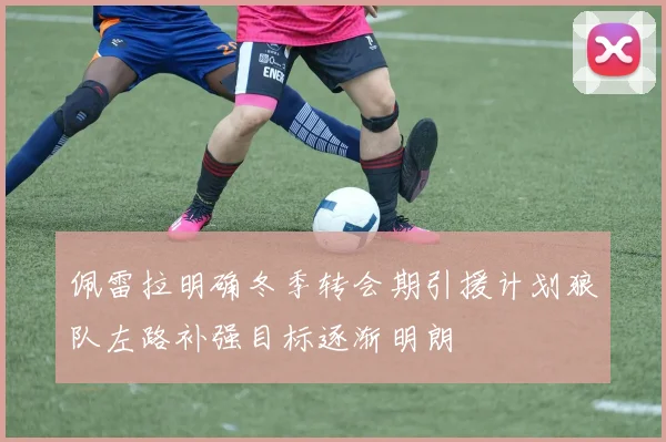 佩雷拉明确冬季转会期引援计划狼队左路补强目标逐渐明朗